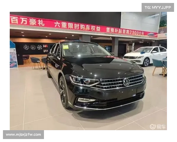 全新B8迈腾“新料”抢先看 全新B8迈腾“新料”抢先看